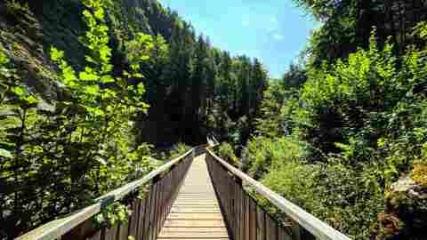 Les gorges de la Jogne