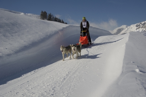Course de chiens de traîneau – Champex-Lac