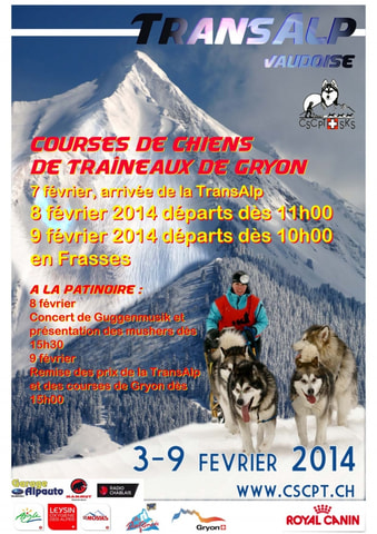Courses de chiens de traîneau – Gryon