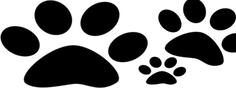 Champou&rsquo;Chiens – Champoussin