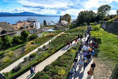 Fête de la Vigne à Nyon