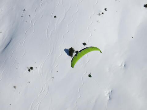 Fly Bétrisey Reine Cup 2024