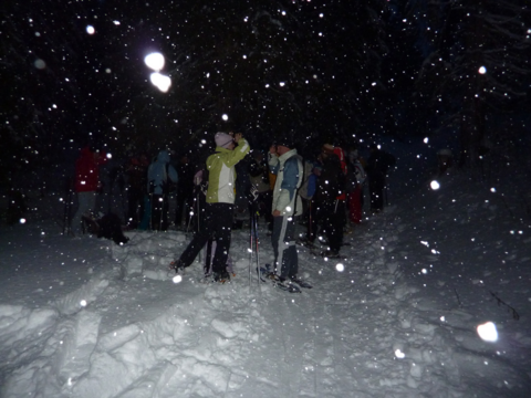 Sortie nocturne à raquettes – St-Cergue