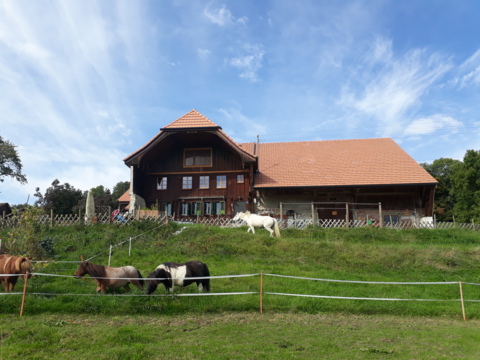 Camp de vacances de l&rsquo;association « AtheMae – Cabot&rsquo;ins » – La Neirigue