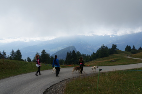 Cani-rando – Ovronnaz