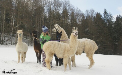 Les petits ateliers de Noël à Lampaga