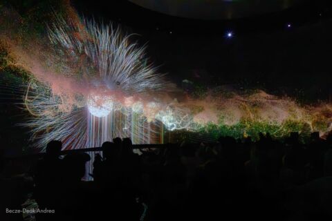 Mapping Festival 2024 – Genève