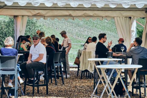 Caves Ouvertes des vins du Valais