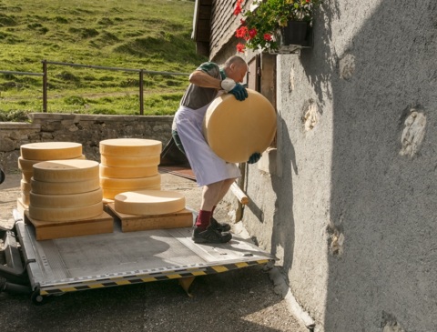 Journées de découverte du Gruyère d’alpage AOP