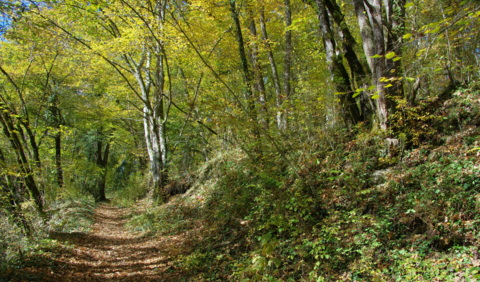Journée cantonale sur les chemins de randonnée