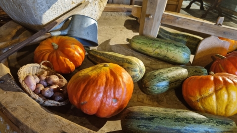 Fête d&rsquo;automne au Musée paysan et artisanal – La Chaux-de-Fonds (NE)