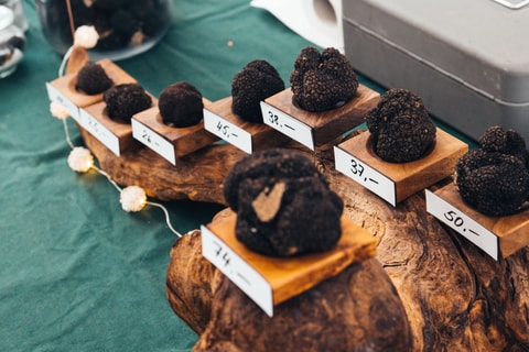 Marché aux Truffes de Morat (FR)