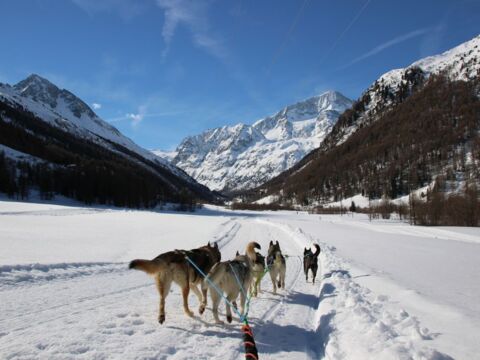 Initiation aux chiens de traîneaux – Val d&rsquo;Hérens