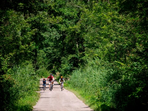 A vélo dans la Grande Cariçaie