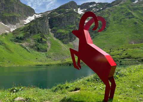 Ailyos Art & Nature – Alpes vaudoises