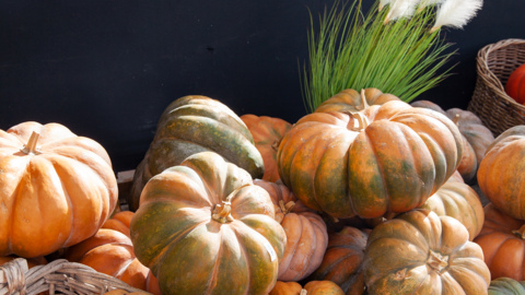 Fête de la courge chez Schilliger