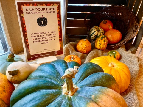 Chasse aux citrouilles à Château-d’Œx (VD)