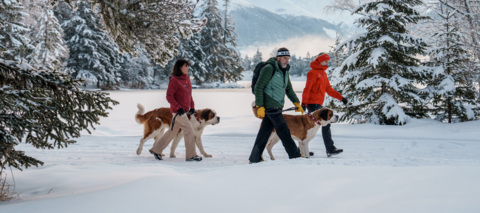 Randonnée avec les chiens du Saint-Bernard – Champex-Lac