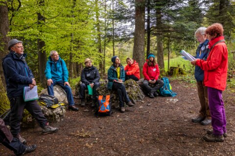 Rando-enquête dans les gorges de Douanne