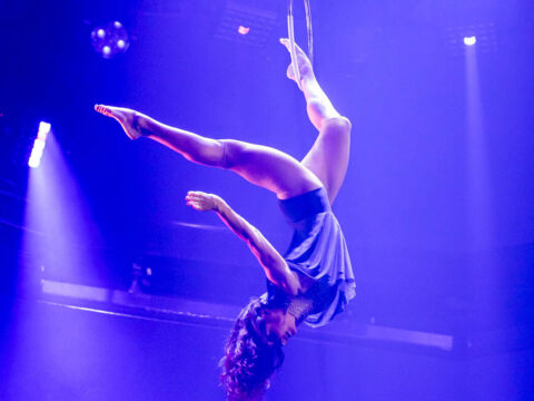 Festicirque – Festival International des Ecoles de cirque – Loisirs