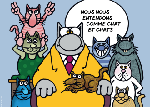 Expo « Drôles de chats ! » – Saint-Maurice