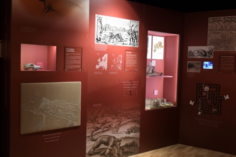 Expo « Entre chien et loup » – Porrentruy