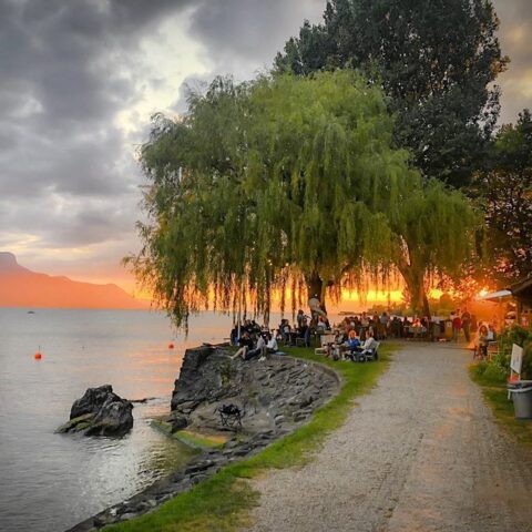 Camping théâtral « Les mots bleus » – La Tour-de-Peilz
