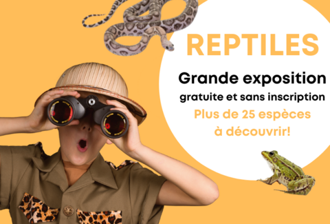 Expo « Reptiles » gratuite aux Centres Manor Chavannes et Vevey