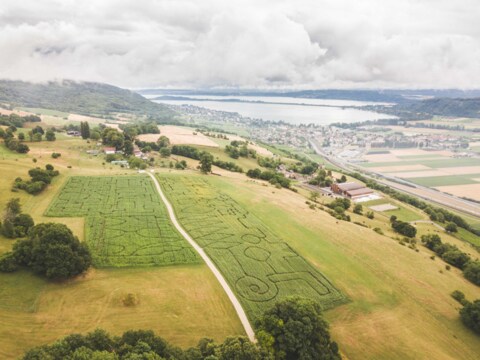 Labyrinthe de maïs géant – Le Landeron