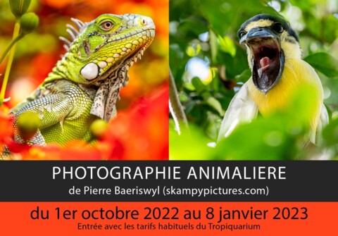 Exposition de photographie animalière au Tropiquarium de Servion