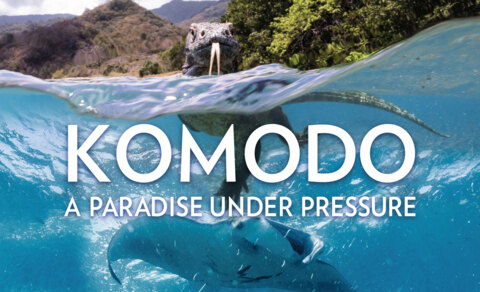 Komodo : A Paradise Under Pressure (Komodo: Un Paradis Sous Pression)