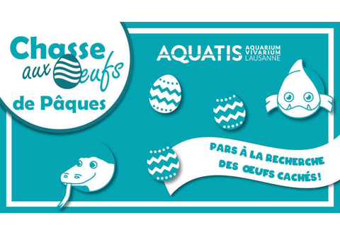 Chasse aux oeufs à AQUATIS