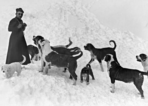 Expo « Des chiens et des hommes, les saint-bernard en photographies » –  Martigny