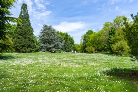 L&rsquo;été au Jardin – Meyrin