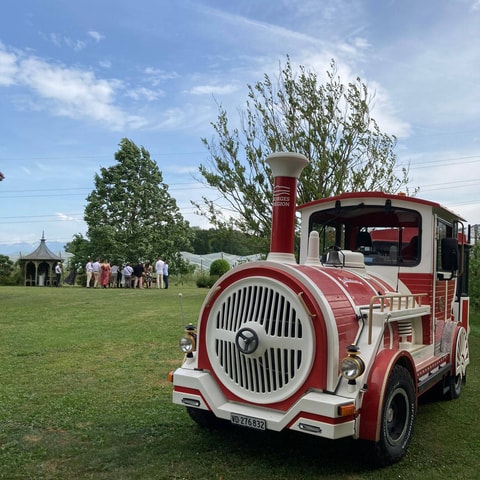 Sorties en Petit Train touristique à Morges