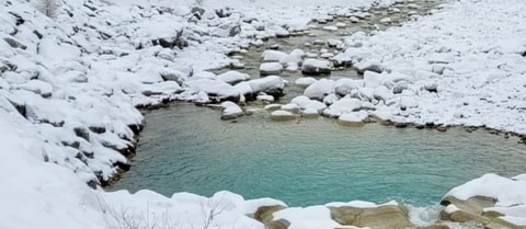 Initiation à la baignade en eaux froides