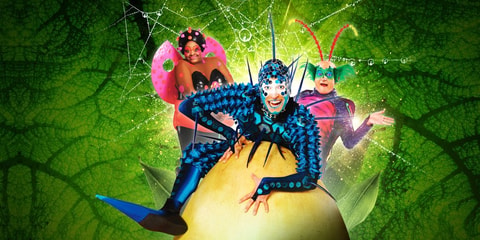 Spectacle "OVO" du Cirque du Soleil - Lausanne