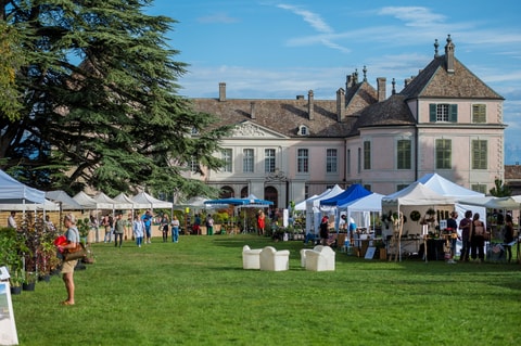 Garden Festival