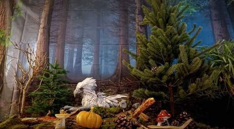 Expo "Au coeur de l'univers Harry Potter"