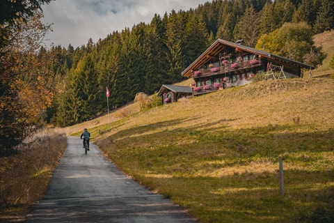 Balade gourmande en E-Bike à Champoussin (VS)
