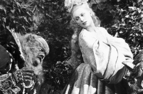 Comédie musicale La Belle et la Bête