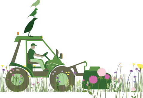 Expo « Entre les herbes : les oiseaux des praires »