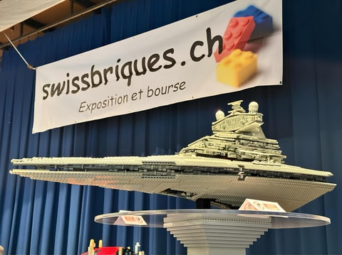 SwissBriques à Concise (VD)