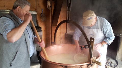Fabrication de Gruyère AOP au feu de bois