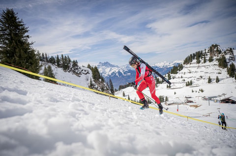 Coupe du monde de ski alpinisme