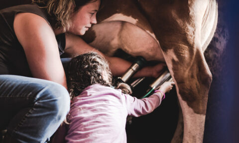 Découverte de la vie à la ferme – Champéry