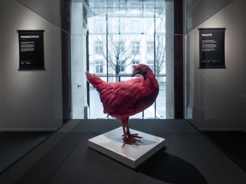 Expo « Dinosaure domestique » au Muséum d&rsquo;histoire naturelle