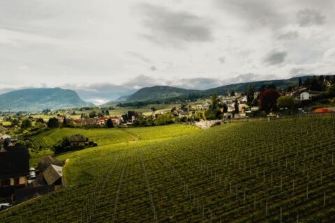 Caves ouvertes neuchâteloises