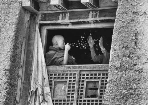 Exposition « Contemplation » de Matthieu Ricard à Genève