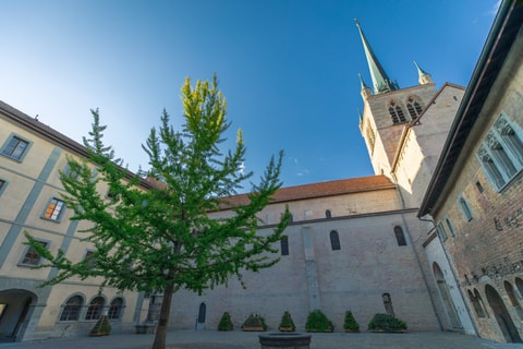 Opéra de l’Impératrice "Lotario" à l'Abbatiale de Payerne